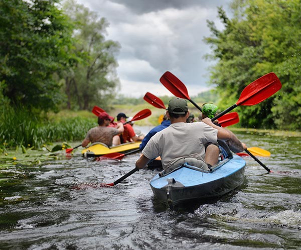 A goup of canoeist paddling up a small river